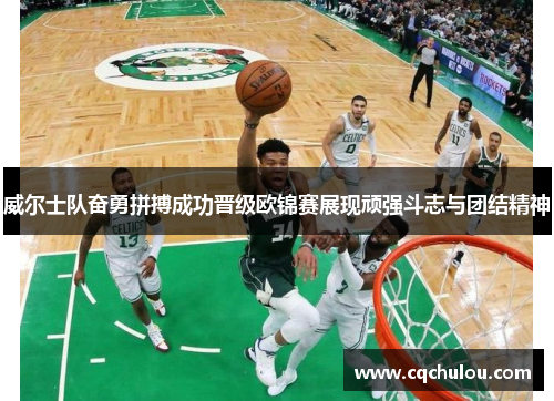 威尔士队奋勇拼搏成功晋级欧锦赛展现顽强斗志与团结精神