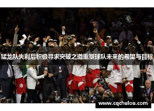 猛龙队失利后积极寻求突破之道重塑球队未来的希望与目标