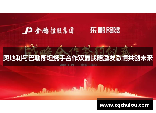 奥地利与巴勒斯坦携手合作双赢战略激发激情共创未来