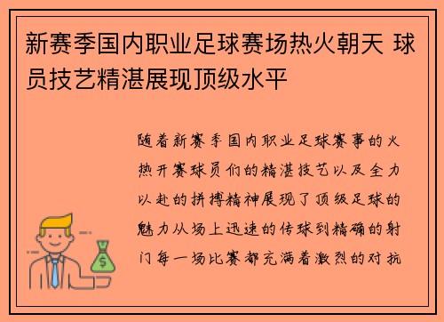 新赛季国内职业足球赛场热火朝天 球员技艺精湛展现顶级水平