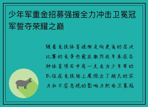 少年军重金招募强援全力冲击卫冕冠军誓夺荣耀之巅